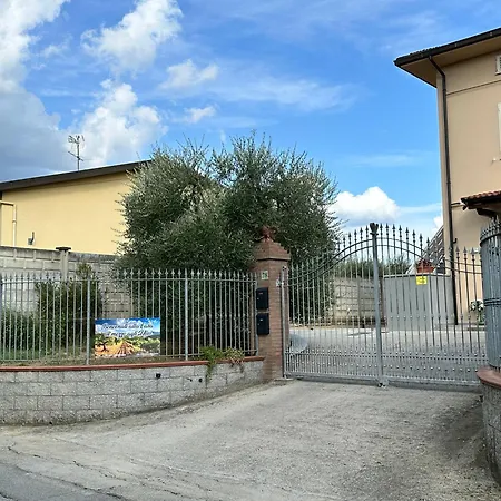 Casa In Mezzo Agli Ulivi